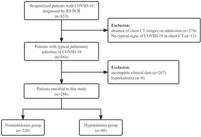 Semi-quantitative CT score reflecting the degree of pulmonary infection as a risk factor of hypokalemia in COVID-19 patients: a cross-sectional study